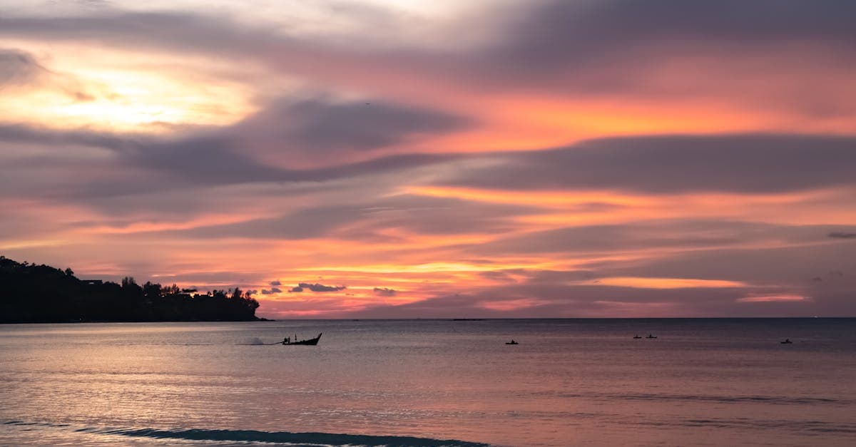 Easy Trips, More Fun.